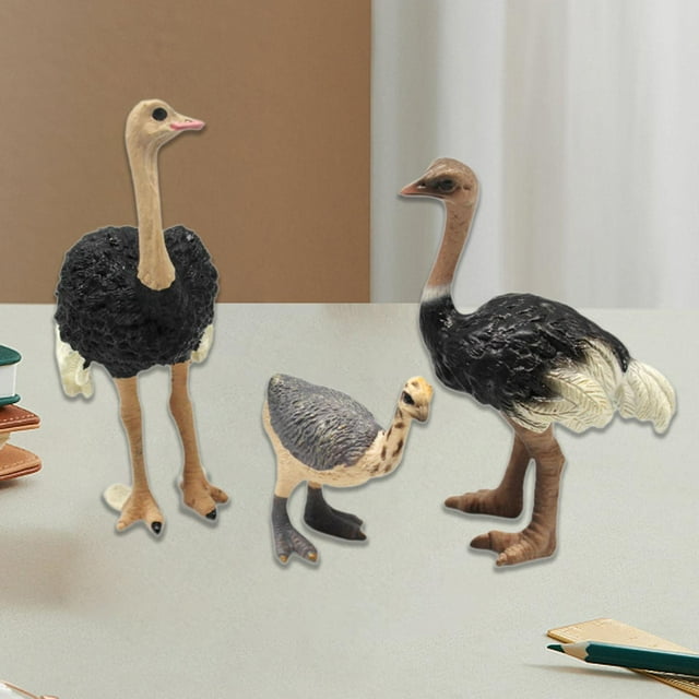 Figuras de modelos de pájaros animales Hugo coleccionables juguete educativo de aprendizaje decoración