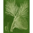 thumbnail image 2 of Vision Studio 26x32 Black Ornate Wood Framed with Double Matting Museum Art Print Titled - Modern Pine III, 2 of 4