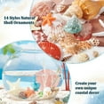 thumbnail image 4 of Juego de 14 estilos de conchas marinas, estrellas de mar naturales, conchas marinas, playa y océano, 4 of 6
