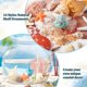 thumbnail image 4 of Juego de 14 estilos de conchas marinas, estrellas de mar naturales, conchas marinas, playa y océano, 4 of 6