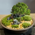 thumbnail image 5 of Litrail Miniature Fruit Tree Model, Realistic Artificial Small Tree with Colorful Fruits, Iron Trunk for Diorama, Bonsai, Home Desk Decor & Holiday Gift, 5 of 6
