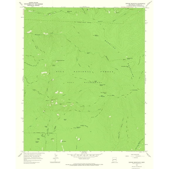 Topographical Map - Grouse Mountain New Mexico Quad - USGS 1965 - Vintage Wall Art