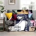 thumbnail image 4 of Fashion Singer T-Taylor Swift Pattern Blanket .Suitable For Sofa  Bed  Travel  Livingroom  Office  Couch  Chair  And Bed DMH, 4 of 7
