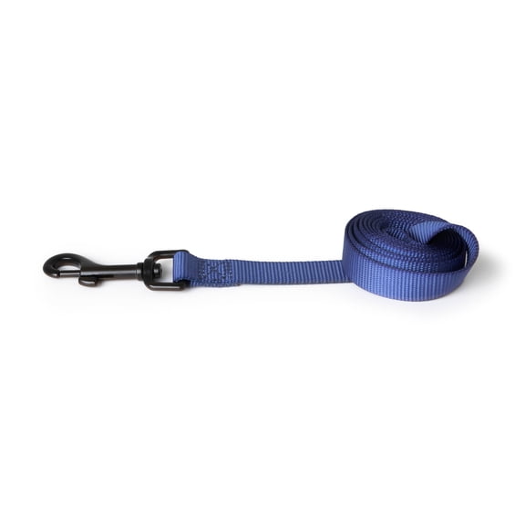 Vibrant Life 4 ft Solid Polyester Dog Leash, Blue, Medium