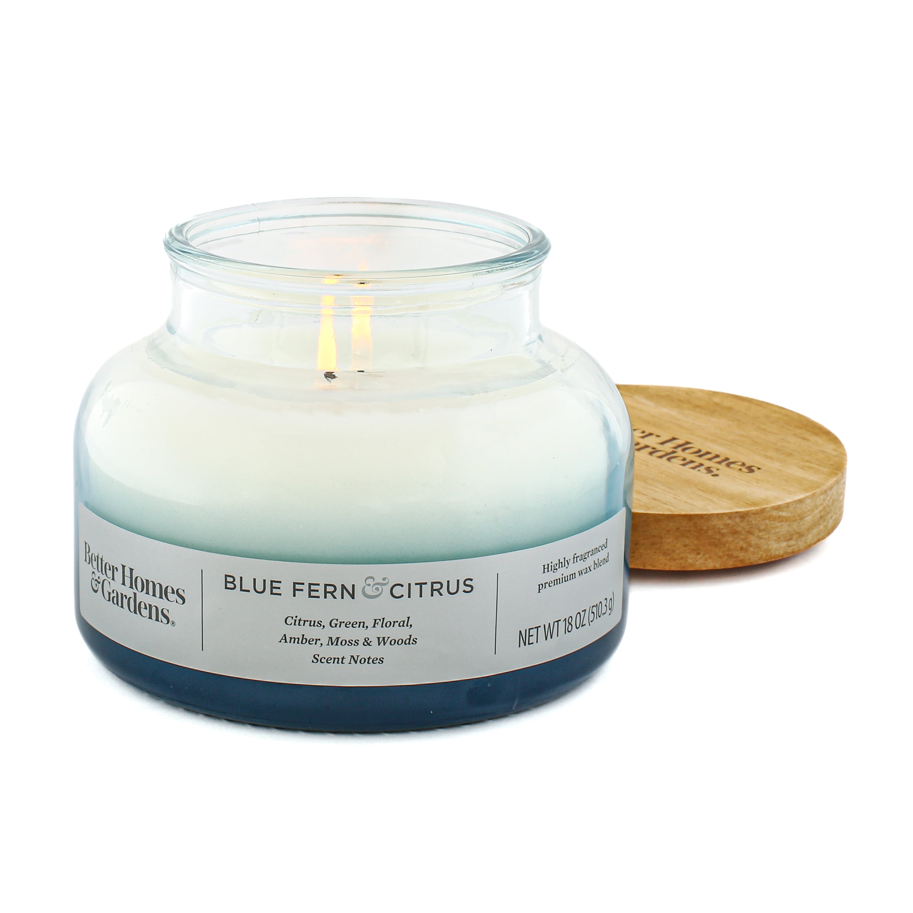 (4 pack) Better Homes & Gardens Blue Fern & Citrus Scented 2-Wick 18oz Ombre Bell Jar Candle