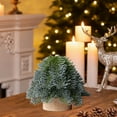 thumbnail image 4 of Mini Christmas Trees, Palm-sized Artificial Fokson Spruce Trees Desktop Small Pine Trees with Wooden Base for Home Christmas Decor 5in, 4 of 6