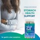 thumbnail image 5 of Suplemento Alexsyn Amend GI Stomach Health Support 60 cápsulas, 5 of 7
