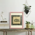 thumbnail image 5 of Mini Exotic Coral I (U) - Framed Print w/glass - Sunset Pink, 5 of 7