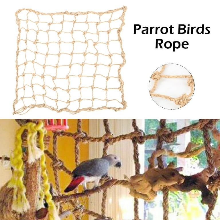 Jungle toys top for birds