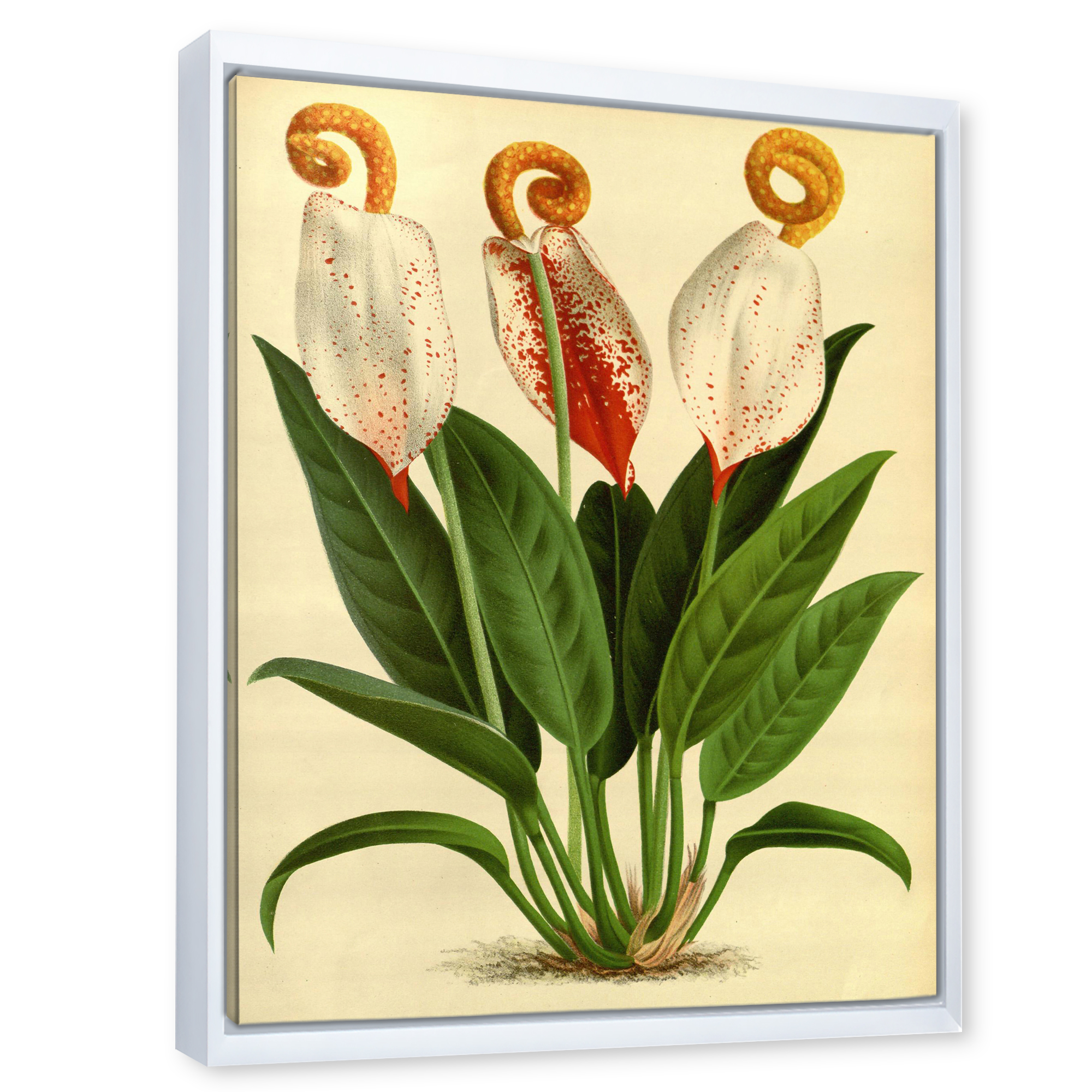 Designart 'Retro Wildflowers' Farmhouse Framed Canvas Wall Art Print