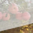 thumbnail image 2 of EeaseCA 3pcs Insect Barrier Netting Plant Covers Drawstring Plant Cover Bags Pest Bug Barrier Plant Protective Covers, 2 of 9