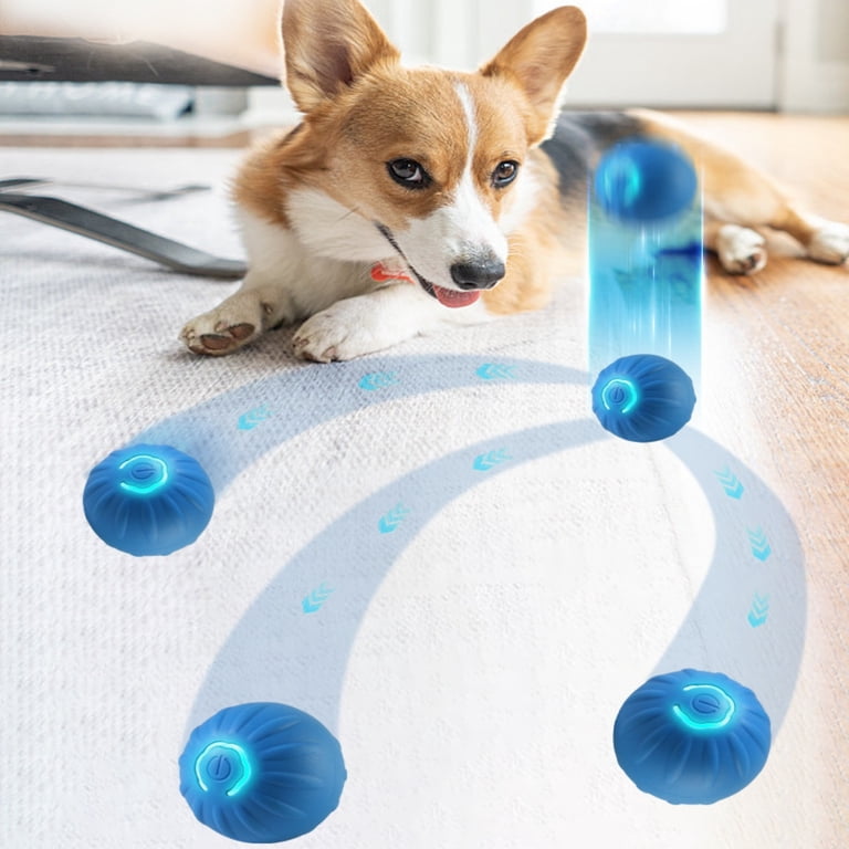 Votnto Shaky Ball Toy for Dogs, Automatic Moving Dog Toy Ball, Vibrating  Dog Ball, Vibrating Ball for Dogs, USB Rechargeable Interactive Dog Ball  for All Types of Dogs