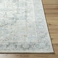 thumbnail image 4 of Hauteloom Akshay Living Room, Bedroom Area Rug - Traditional - High Pile - Peach, Light Gray, Gray - 2' x 2'11", 4 of 9