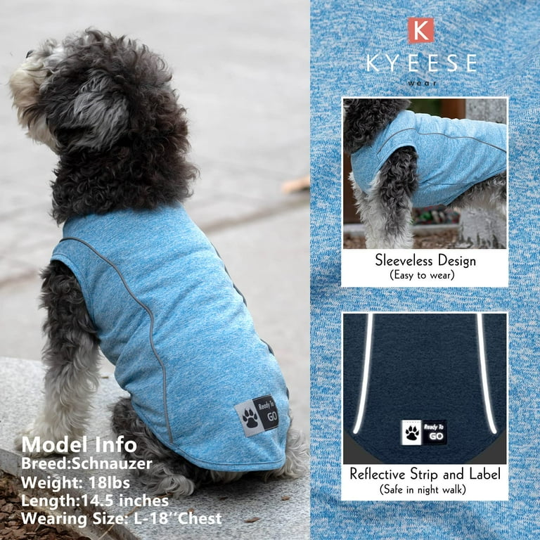 Dog athletic wear 2025