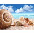 thumbnail image 1 of Taladro Pintura Diamante (DE1639) Conchas Marinas 5D DIY Mosaico Redondo Completo Imagen 45x60cm FLhrweasw Nuevo, 1 of 1