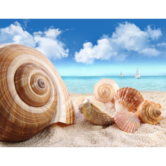 Taladro Pintura Diamante (DE1639) Conchas Marinas 5D DIY Mosaico Redondo Completo Imagen 45x60cm FLhrweasw Nuevo