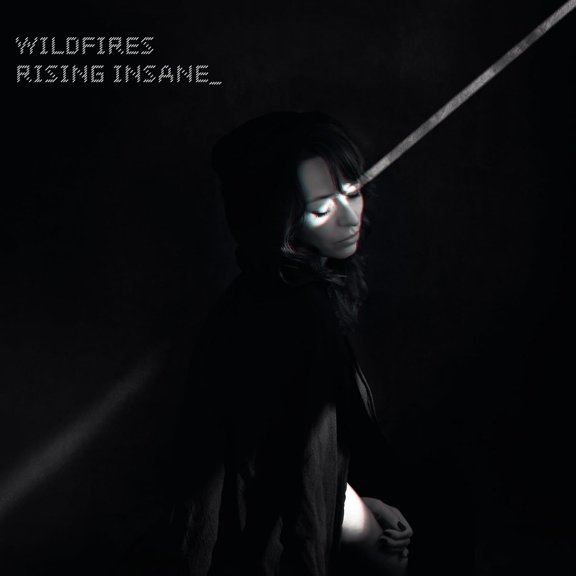 Wildfires (Audiobook)
