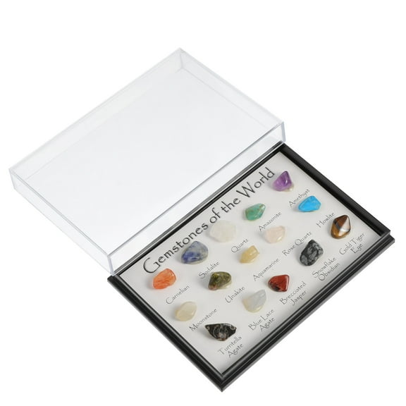 COSMOBETTY Multi-Colored Gemstone Specimen Natural Crystal Stone For Teaching Samples And Home Decor 3.1x2.0x0.5in