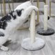 thumbnail image 3 of Labymos Marco de escalada para gatos Rascador, 3 of 8