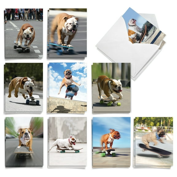 20 All Occasion Blank Note Cards Boxed (10 Designs, 2 Each) - Skating Bulldogs All Occasions (4" x 5.12") AM9517OCB-B2x10