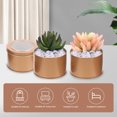 thumbnail image 3 of 6Pcs Metal Flower Bucket Decorative Compact Plants Pot Succulents Planter for Garden, 3 of 8