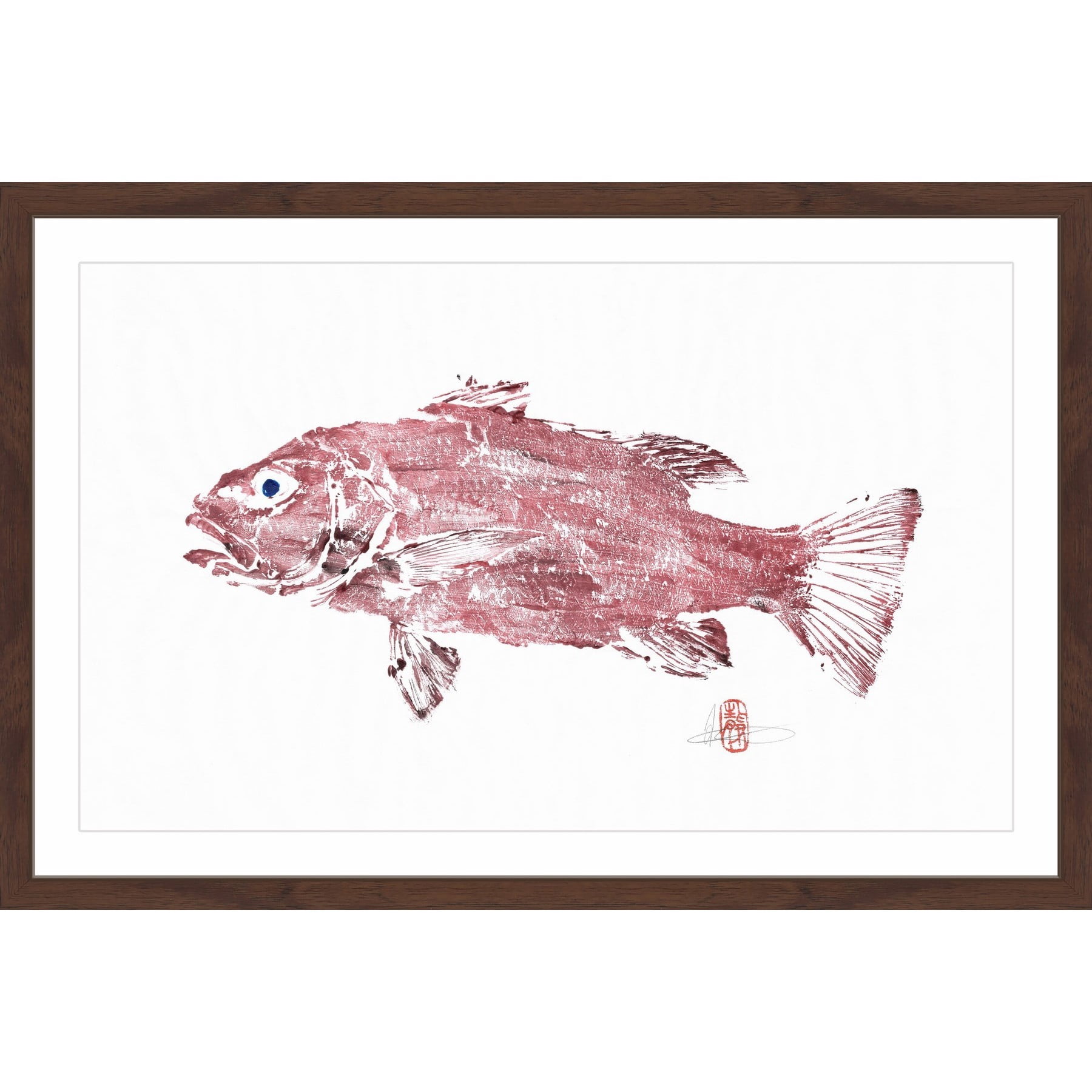"Cubera Snapper" Framed Painting Print