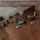thumbnail image 5 of 30Pack Brass Chicago Screws, 15x8mm Flat Head Screw Back Binding Post Nail Stud Rivets Fastener for, 5 of 5