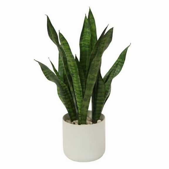 Disttive Designs 20015 Unisex Sanseveria Plants in White Pot - Green