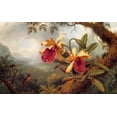 thumbnail image 2 of Heade, Martin Johnson 14x10 Black Ornate Wood Framed with Double Matting Museum Art Print Titled - Orchids And Hummingbird, 2 of 4
