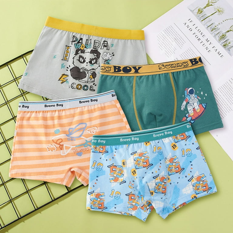 CM-Kid Toddler Boy Dinosaur Underwear Cotton Underpants 6 Pack Boxer Briefs  3T 
