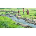 thumbnail image 4 of Your Name Blu-ray/DVD, 4 of 13
