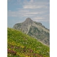 thumbnail image 2 of Wild, Jamie and Judy 25x32 Black Ornate Wood Framed with Double Matting Museum Art Print Titled - Washington State-Central Cascades-Rampart Ridge-Alta Mountain and wildflowers, 2 of 4