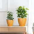 thumbnail image 6 of Modern Pots for Plants - Set of 3 for Indoor Plants, 6/8/10 inch Ceramic Planter for Orchids & Flowers Gift for Women & Mom Glossy Orange, 6 of 8