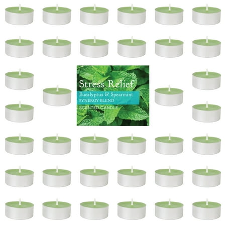 Home Traditions Highly Scented Stress Relief Tealight Candle (Pack of 36) For Home Décor, Wedding, Party, Holiday, Spa & Aromatherapy - Eucalyptus Spearmint (Best Holiday Candles 2019)