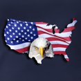 thumbnail image 3 of CafePress - Bald Eagle Over American Flag Long Sleeve T Shirt - Womens Hooded Shirt, 3 of 3