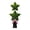 Two Star-35 in, variant on July of 4 Star-Shaped Artificial Topiary Plants, Patriotic Topiary Trees Potted for Outdoor Decor, Garden Green Landscape Decorations for Independence Day Memorial Day