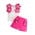 thumbnail image 3 of JAJAHO Baby Girls Clothes 2 Piece Outfits Summer Toddler Sleeveless Floral Appliques Tank Tops And Shorts Set Comfortable Outfit, 3 of 6