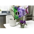 thumbnail image 2 of African Violet Potting Mix, 8qt, 2-Pack, 2 of 3