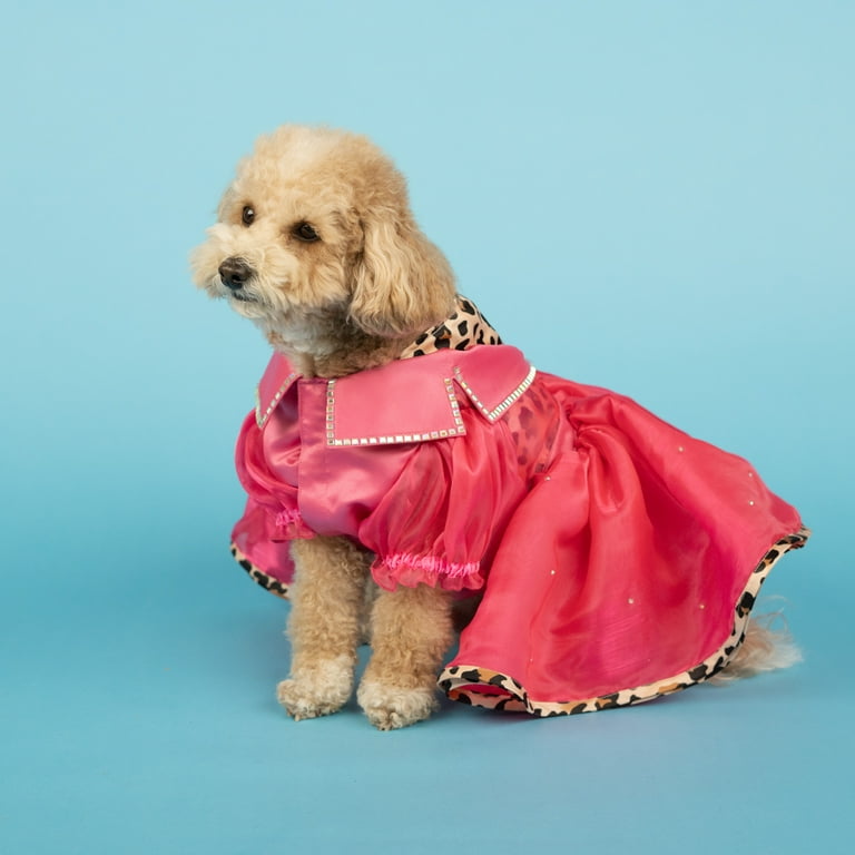 Amazon.com : Dog Clothes for Small Dogs Boy Girl, Dog