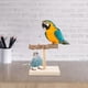 thumbnail image 3 of Percha de madera para entrenamiento de aves, juguete de escritorio para loros, soporte de escritorio para entrenamiento de aves, 3 of 7