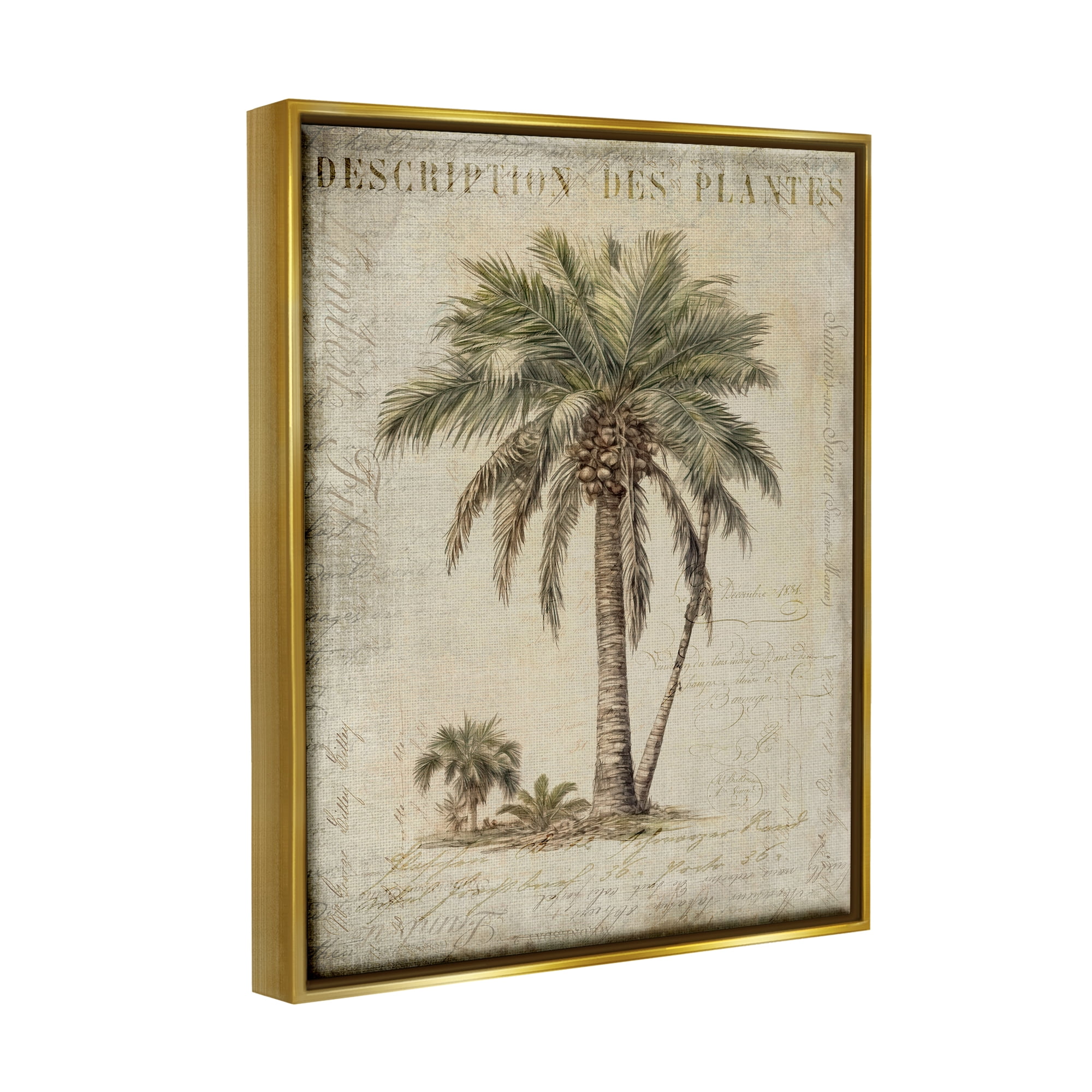 Stupell Industries Vintage Palm Tree Study Botanical & Floral Painting Gold Floater Framed Canvas Art Print Wall Art, 25 x 31