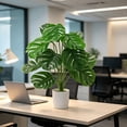 thumbnail image 6 of MMJ Artificial Monstera Deliciosa Bonsai Plant with Pot Desk Decor Living Room Office Bedroom Home 6.97in Realistic Tropical Foliage Silk Plastic Year Round Green, 6 of 6