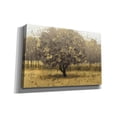 thumbnail image 2 of Epic Graffiti 'Golden Trees I' by James Wiens, Canvas Wall Art, 60"x40", 2 of 8