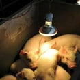 thumbnail image 3 of Yeacher Reptile Heat Lamp Amphibian Heat Emitter Brooder Coop Lizard Aquarium Snake Pet High Intensity Lamp Bulb, 3 of 7