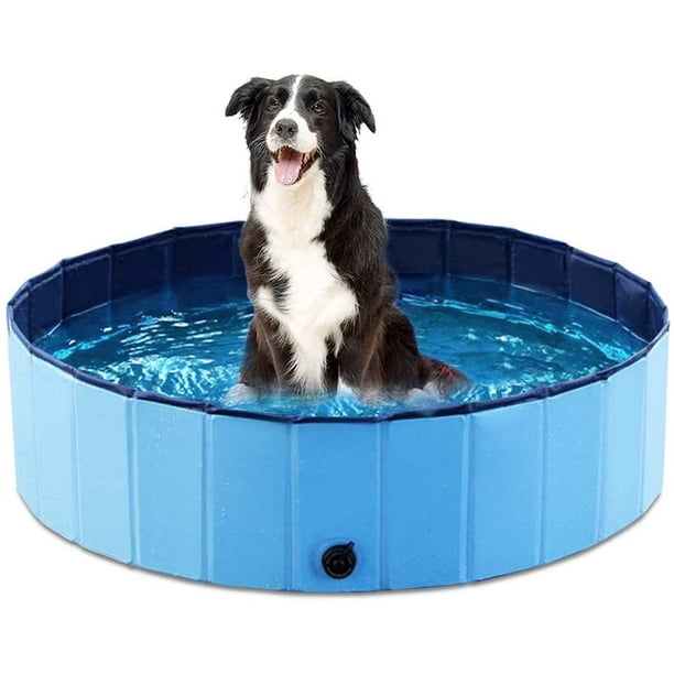 kiddie dog pool
