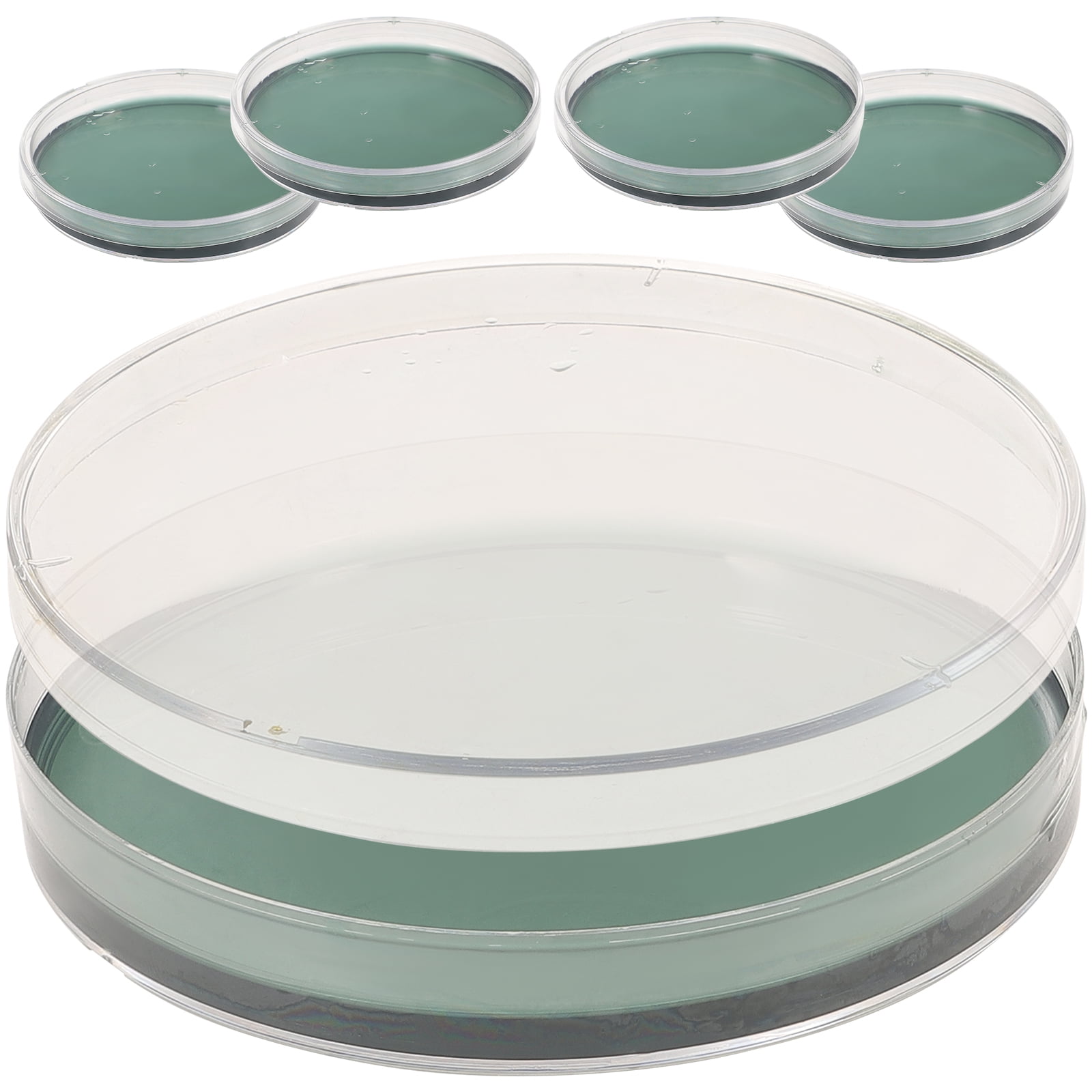 5pcs Agar Plates Portable Prepoured Agar Petri Dishes Science Fair