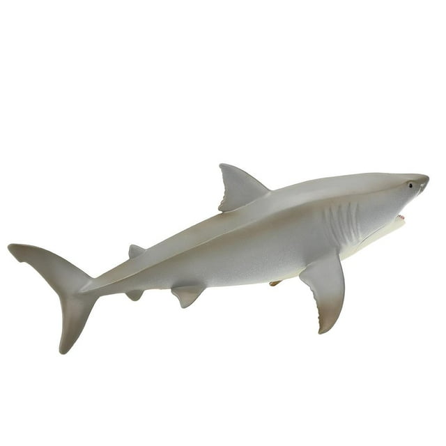 Herwey Modèle Éducatif de Simulation, Modèle Sharks, Garçons pour Enfants Éducatif Enfants