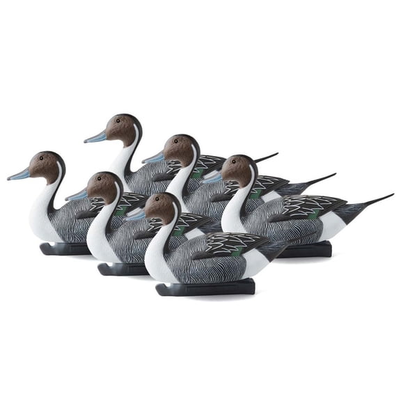 G&amp;H Decoys Pintail Super Magnum Drake Duck Decoys, 6 Pack