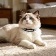 thumbnail image 3 of And Cat Collars With Shiny Decorations. Customized Stainless Steel Nameplates. Suitable For Small Medium And Large Dogs., 3 of 5