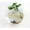 VASE-A, variant on Xuniizn Flower Vase Glass Vases for Centerpieces, Home & Garden Arrangements, Versatile & Durable Essential for Modern & Classic Styles Available, Small Vases Home Decor, Artificial Flowers